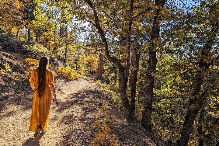 Excursión de senderismo por los colores del otoño de Big Bear en el sur de California