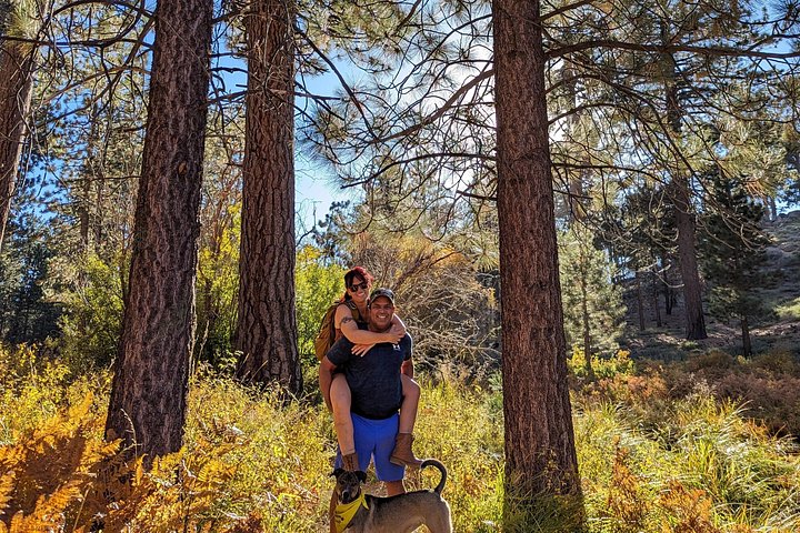 Excursión de senderismo por los colores del otoño de Big Bear en el sur de California
