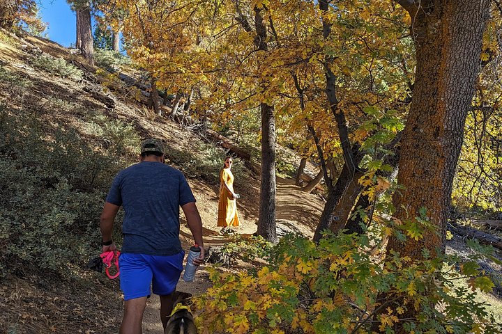 Excursión de senderismo por los colores del otoño de Big Bear en el sur de California