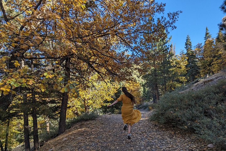 Excursión de senderismo por los colores del otoño de Big Bear en el sur de California