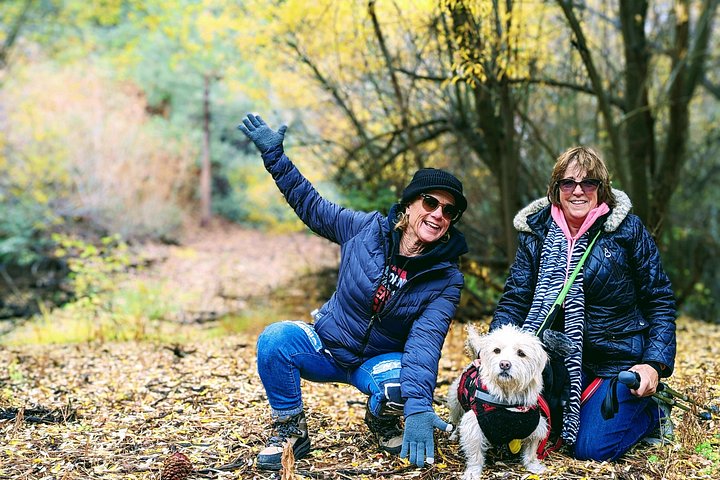 Excursión de senderismo por los colores del otoño de Big Bear en el sur de California