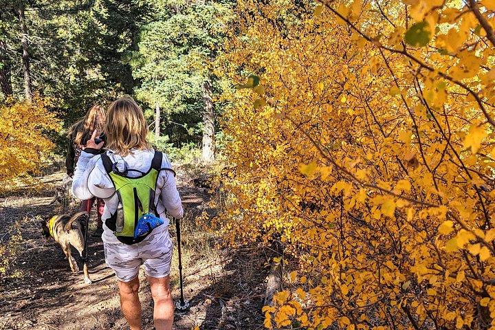 Excursión de senderismo por los colores del otoño de Big Bear en el sur de California