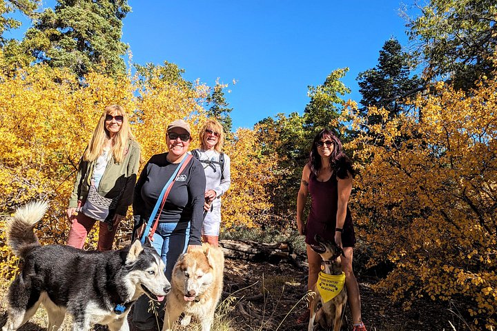 Excursión de senderismo por los colores del otoño de Big Bear en el sur de California