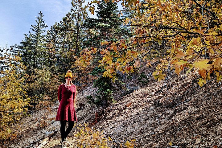 Excursión de senderismo por los colores del otoño de Big Bear en el sur de California