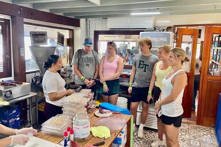 Roatán Island Tour: Sloth & Monkey Park, Rum, and Chocolate