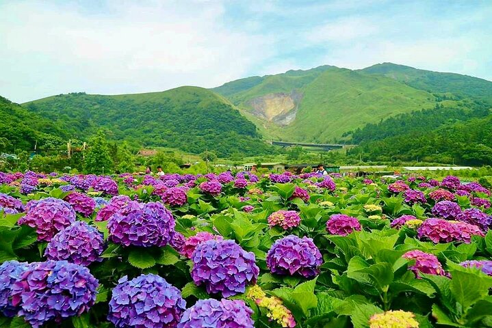 Small-Group: Beitou and Yangmingshan Day Tour from Taipei