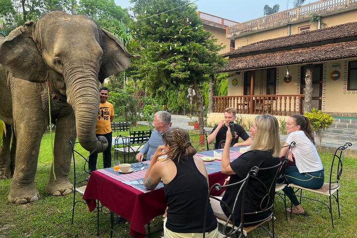 2 nachten 3 dagen Chitwan National Park-pakket met jeepsafari