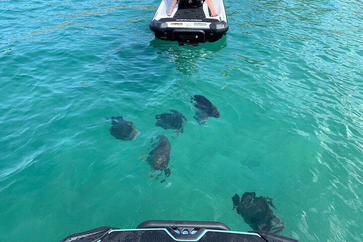 Restauranter i nærheten av Magnetic Island Snorkel Jet Ski Tour