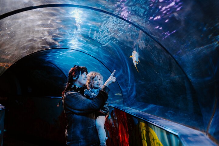 SEA LIFE Weymouth-toegangsbewijs