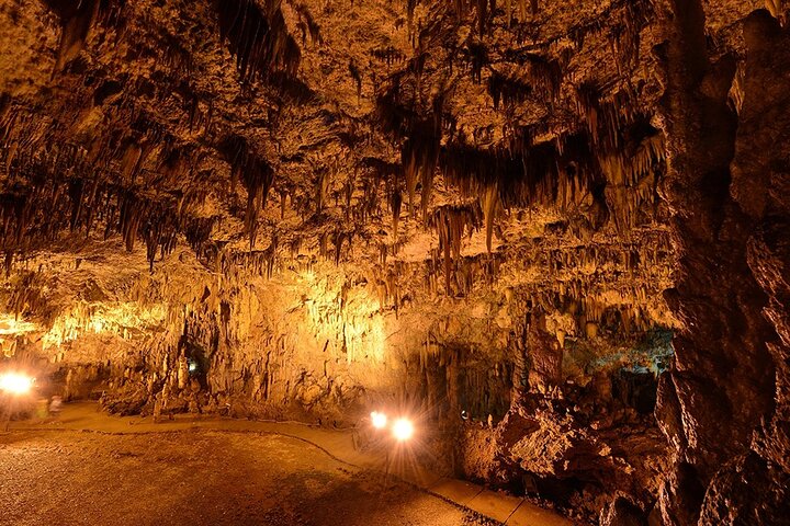 Tour privado de medio día por la isla en Cefalonia