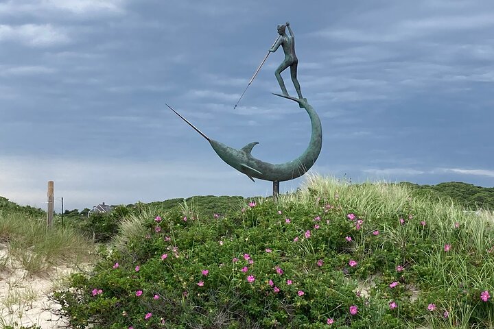 Tour de 3 horas por lo mejor de Martha's Vineyard por toda la isla