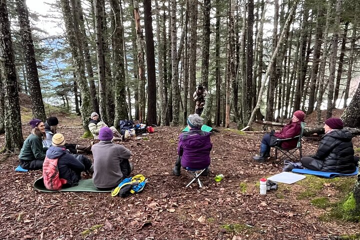 Alaska Natura Immersione: Tour di terapia forestale a Haines, Alaska