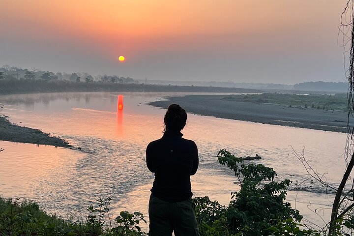 2 nachten 3 dagen Chitwan National Park-pakket met jeepsafari