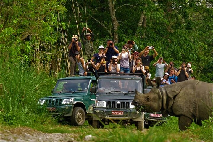 2 nachten 3 dagen Chitwan National Park-pakket met jeepsafari