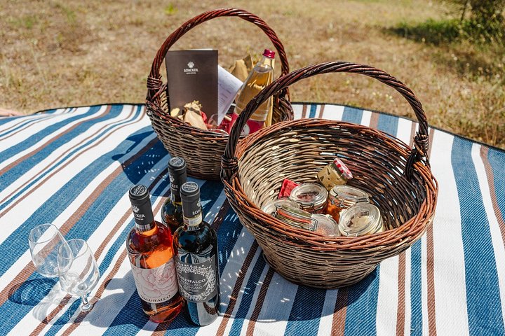 Visita a la bodega y picnic en el viñedo con una botella de vino.