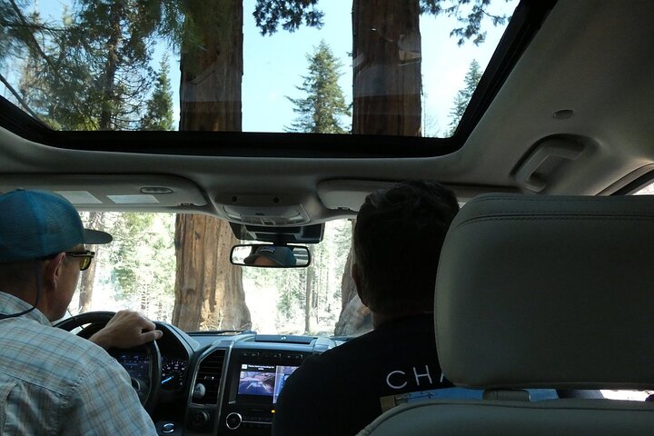 Sequoia Nationaal Park Tour vanuit Wuksachi Lodge