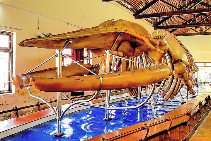 Ab Mui Ne: Malerische Seilbahnfahrt zum Berg Ta Cu und schlafender Buddha