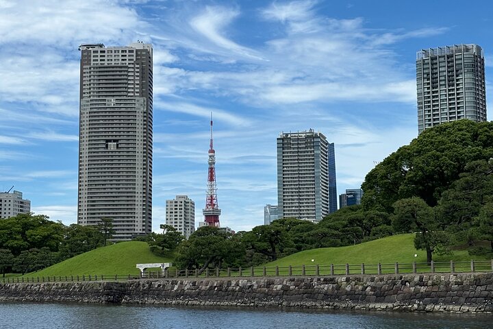 Scalo a Tokyo: Tour Privato di 5 Ore con Prelevamento Aeroportuale