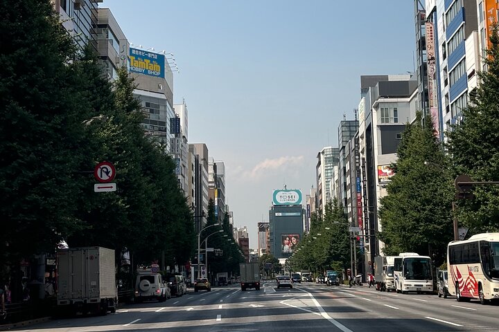 Scalo a Tokyo: Tour Privato di 5 Ore con Prelevamento Aeroportuale