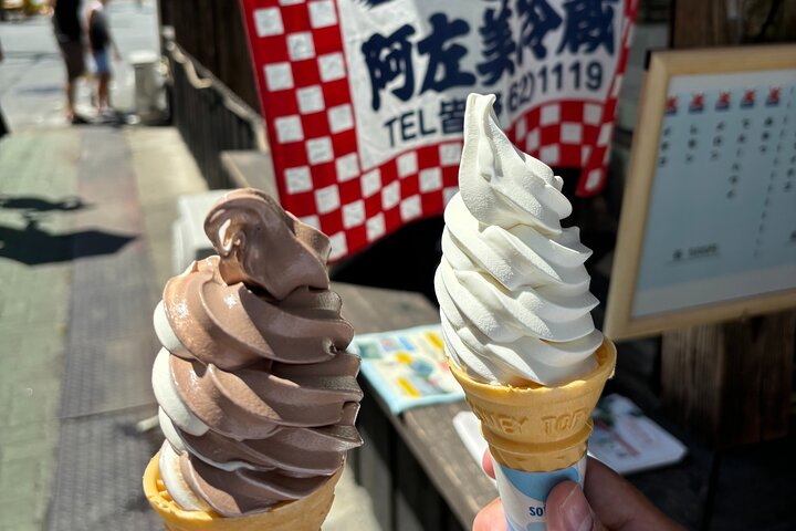 Scalo a Tokyo: Tour Privato di 5 Ore con Prelevamento Aeroportuale