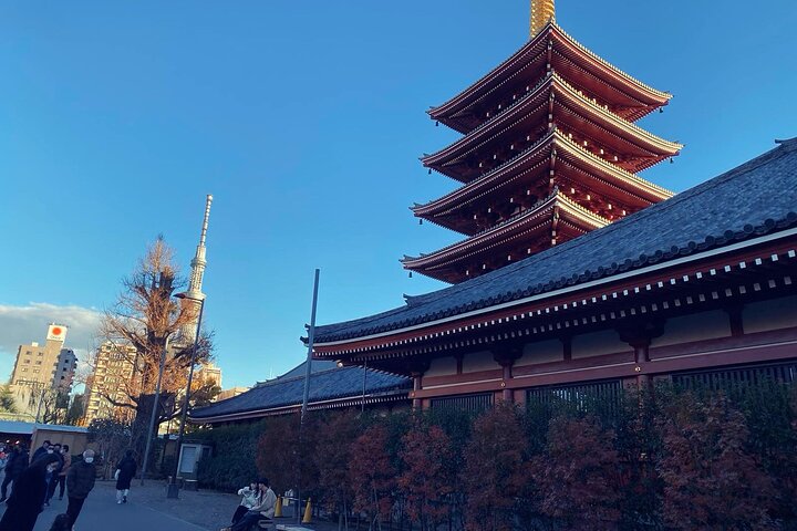 Scalo a Tokyo: Tour Privato di 5 Ore con Prelevamento Aeroportuale