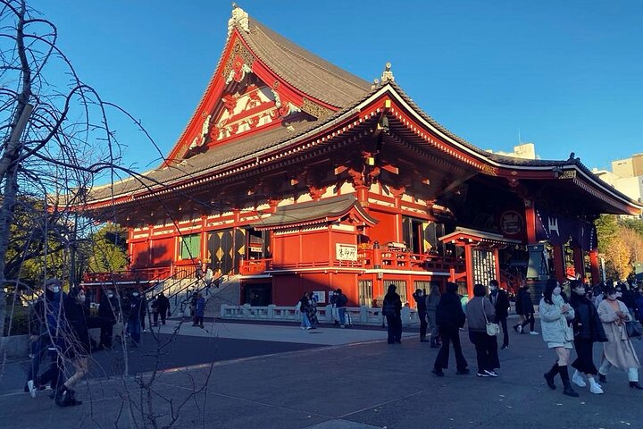 Scalo a Tokyo: Tour Privato di 5 Ore con Prelevamento Aeroportuale