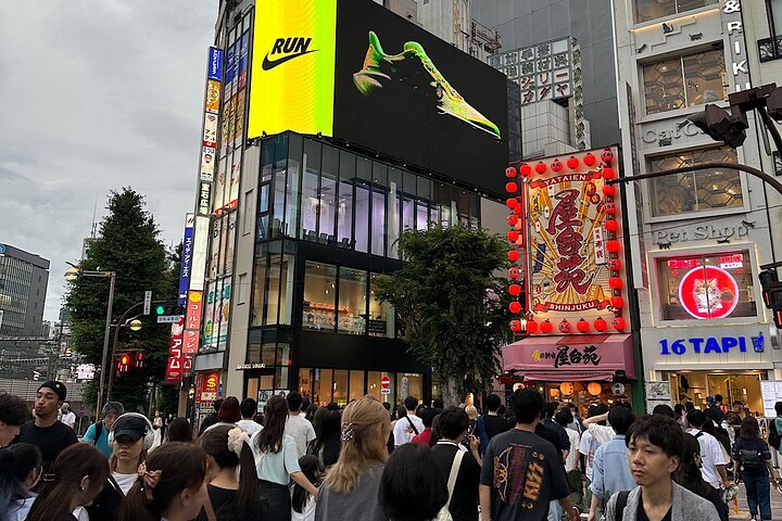 Scalo a Tokyo: Tour Privato di 5 Ore con Prelevamento Aeroportuale