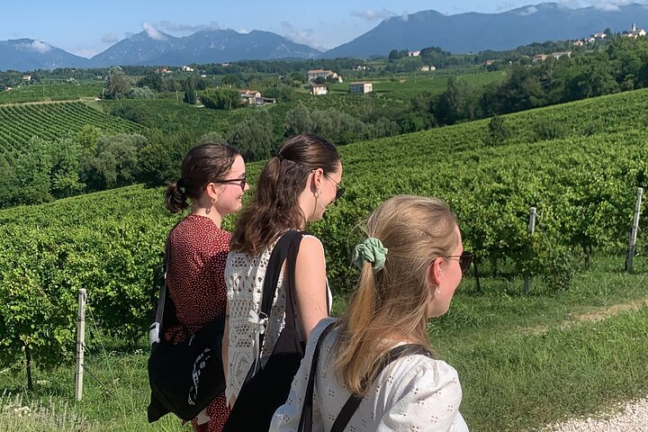Tour privado todo incluido a Prosecco Hills - 2 bodegas y almuerzo.
