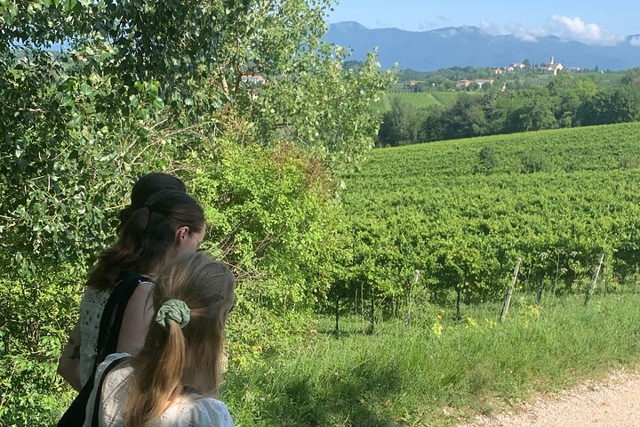 Tour privado todo incluido a Prosecco Hills - 2 bodegas y almuerzo.