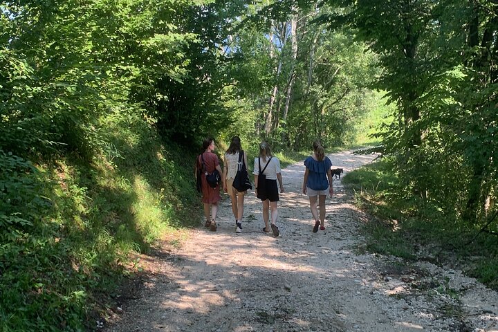 Tour privado todo incluido a Prosecco Hills - 2 bodegas y almuerzo.
