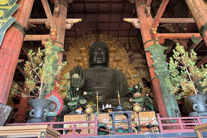Nara: Excursão privada de meio dia por 4 pontos imperdíveis & Deer Park