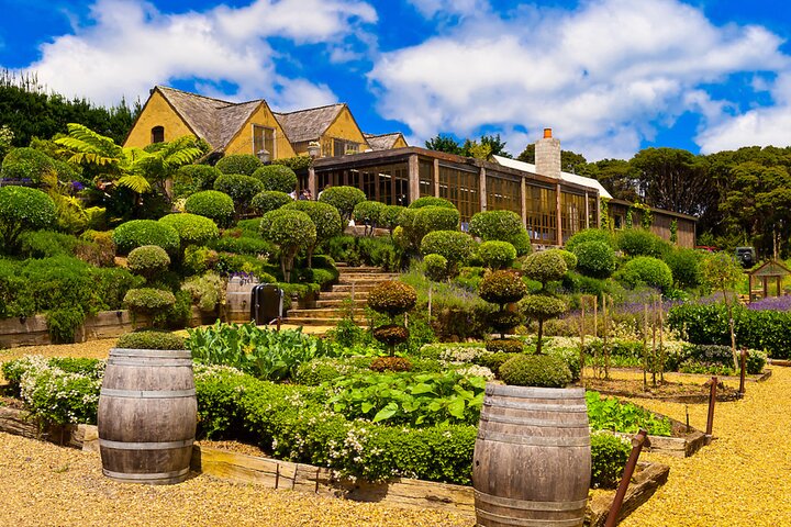 PREMIUM VIN TASTING = Waiheke Island Wine Tours MAX 11 kunder!