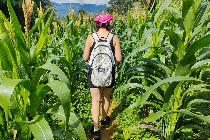 Dia inteiro Private Trekking Mu Cang Chai