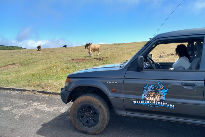 Madeira 4x4 Jeep-Safari: Porto Moniz, Lavapools und Fanal-Wald