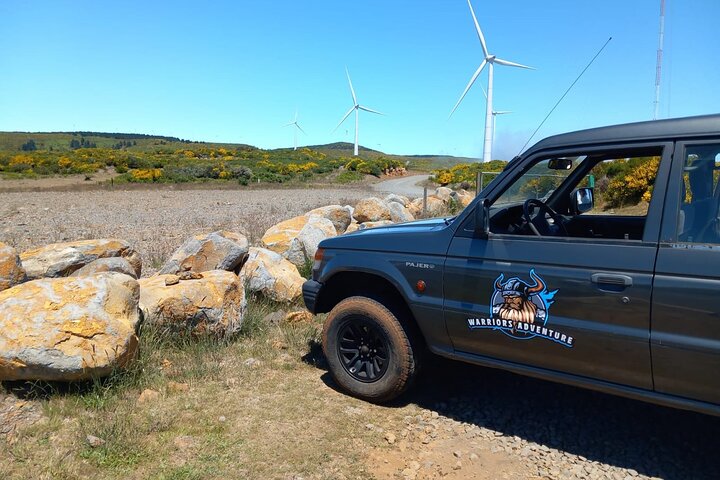 Madeira 4x4 Jeep-Safari: Porto Moniz, Lavapools und Fanal-Wald