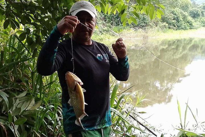 Yasuni Tours - 4 dagar 3 nätter - Från Puyo, Pastaza - Ecuador
