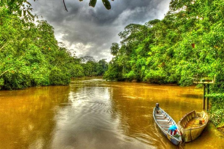 Yasuni Tours - 4 dagar 3 nätter - Från Puyo, Pastaza - Ecuador