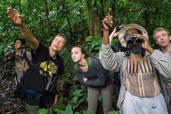 Yasuni Tours - 4 dagar 3 nätter - Från Puyo, Pastaza - Ecuador