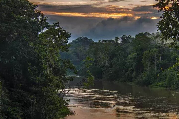 Yasuni Tours - 4 dagar 3 nätter - Från Puyo, Pastaza - Ecuador