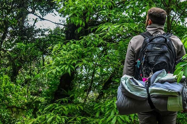 Yasuni Tours - 4 dagar 3 nätter - Från Puyo, Pastaza - Ecuador