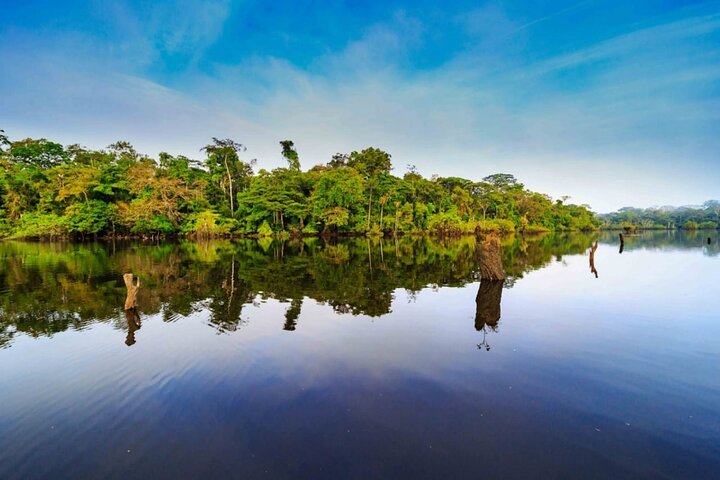 Yasuni Tours - 4 dagar 3 nätter - Från Puyo, Pastaza - Ecuador