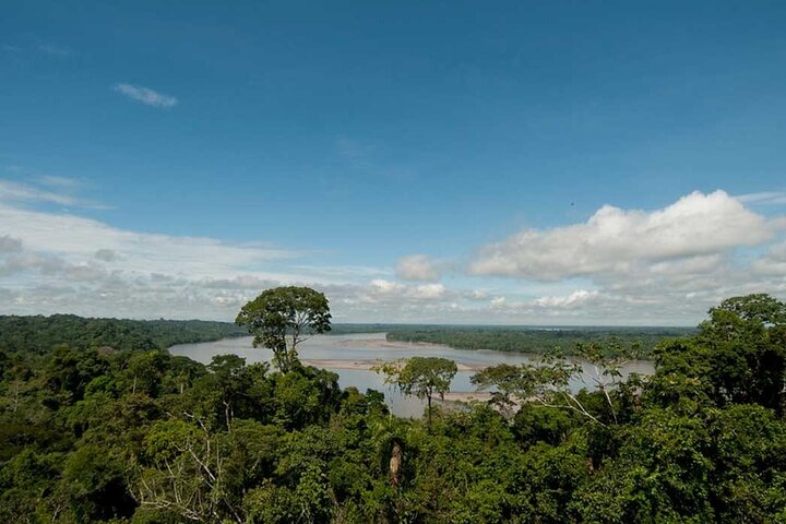 Yasuni Tours - 4 dagar 3 nätter - Från Puyo, Pastaza - Ecuador