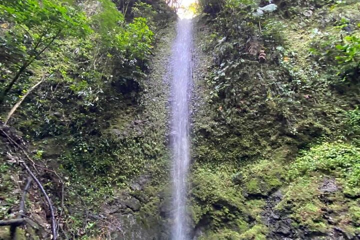 3 dias na selva da floresta tropical de Chuahurco - 5 cachoeiras - comunidade 3 Etni