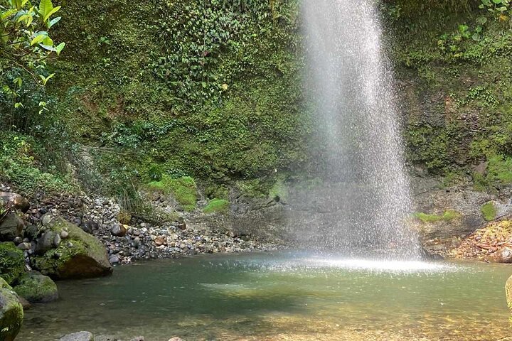 3 Días Selva Rainforest Chuahurco - 5 Cascadas - Comunidad 3 Etni