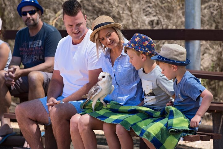 Tour di un'intera giornata a Kangaroo Island Sip and See con partenza da Kangaroo Island