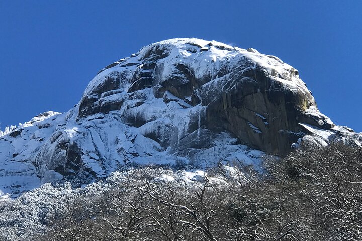 Sequoia Nationaal Park Tour vanuit Wuksachi Lodge