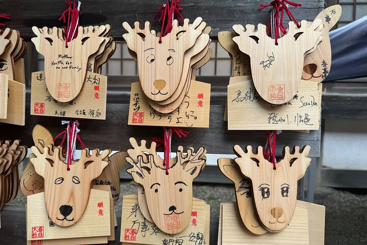 Nara: Excursão privada de meio dia por 4 pontos imperdíveis & Deer Park