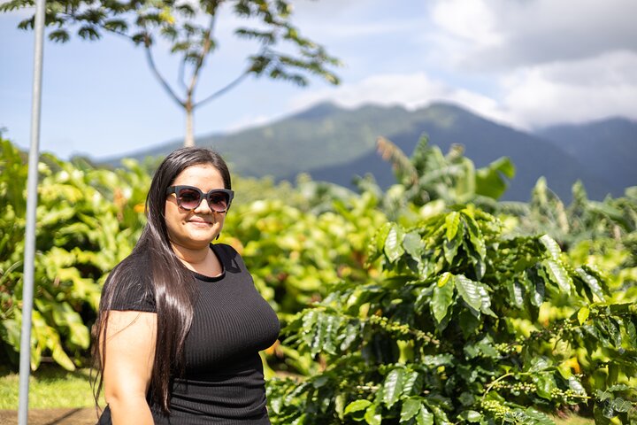 Kaffee & Schokolade Tour + Faultierpark & Llanos de Cortez Wasserfall