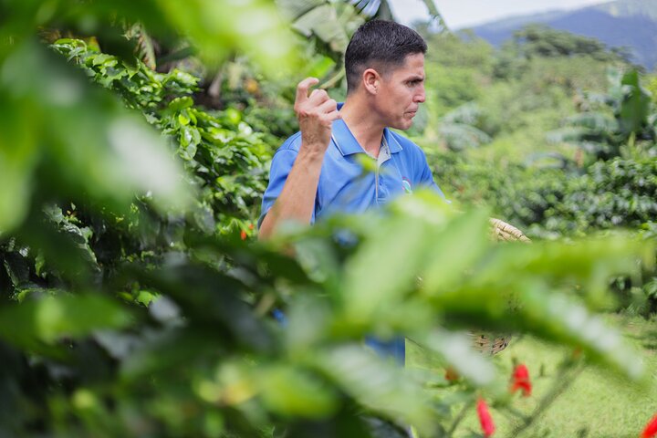 Kaffee & Schokolade Tour + Faultierpark & Llanos de Cortez Wasserfall