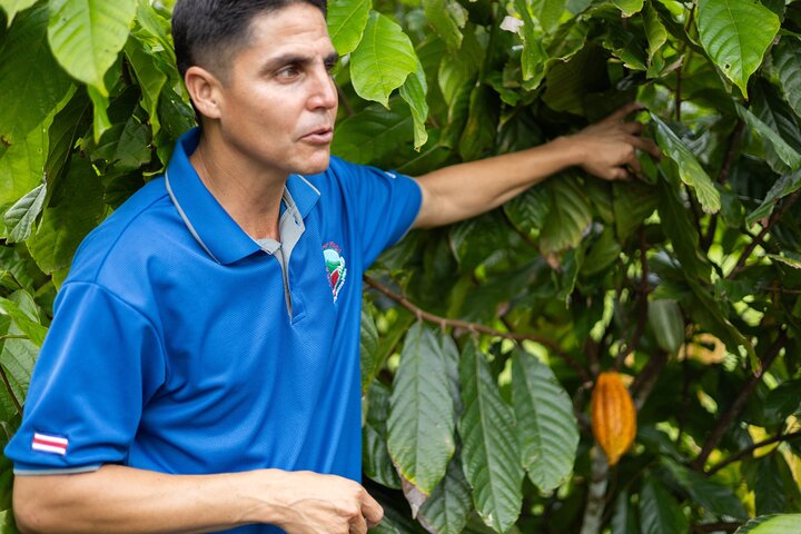 Kaffee & Schokolade Tour + Faultierpark & Llanos de Cortez Wasserfall